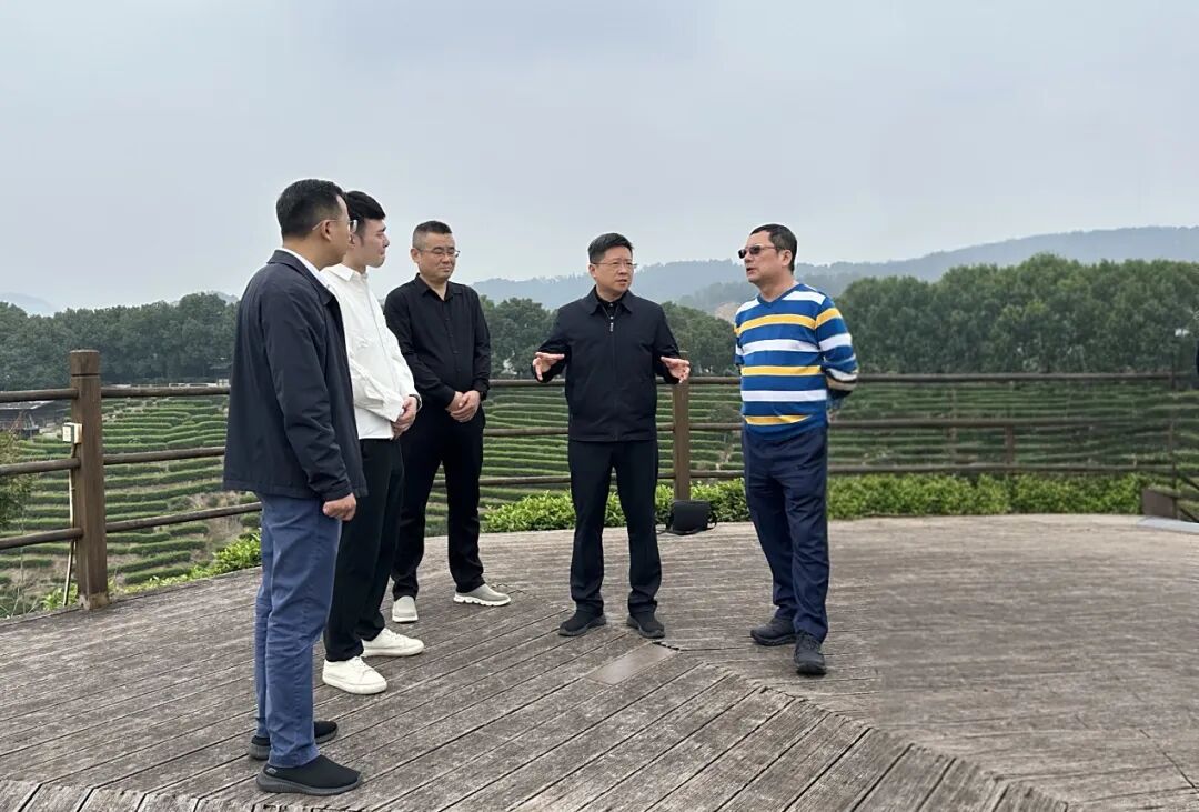 上海聚通裝飾集團(tuán)一行到我縣考察